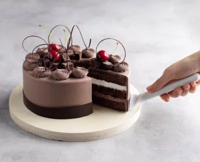 Tegral Satin Cream Cake Belgian Chocolate Cake