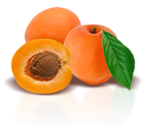 Topfil Apricot Cubes 20% - Aprikožu pildījums