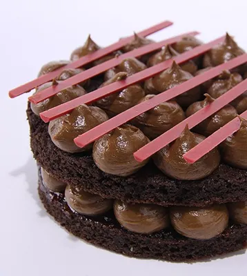 Tegral Satin Moist Cake Dark