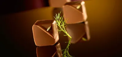 HAZELNUT PRALINE 50%